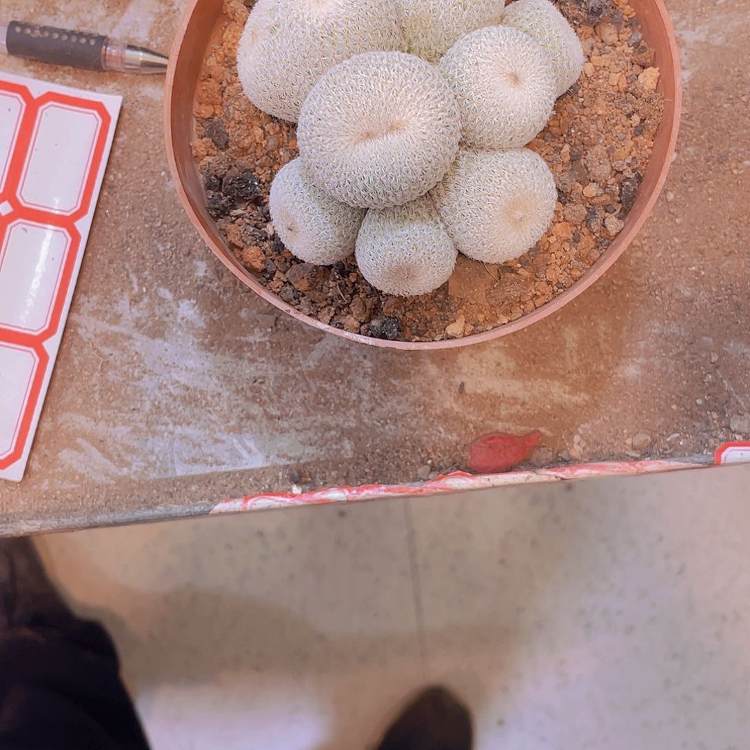 无花朵菲*顺风顺水！顺风顺水