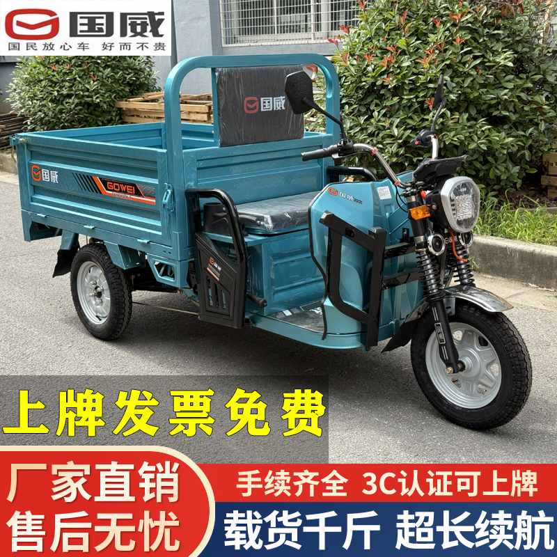 国威电动三轮车家用接送孩子新款载重王电动三轮车三轮电动车