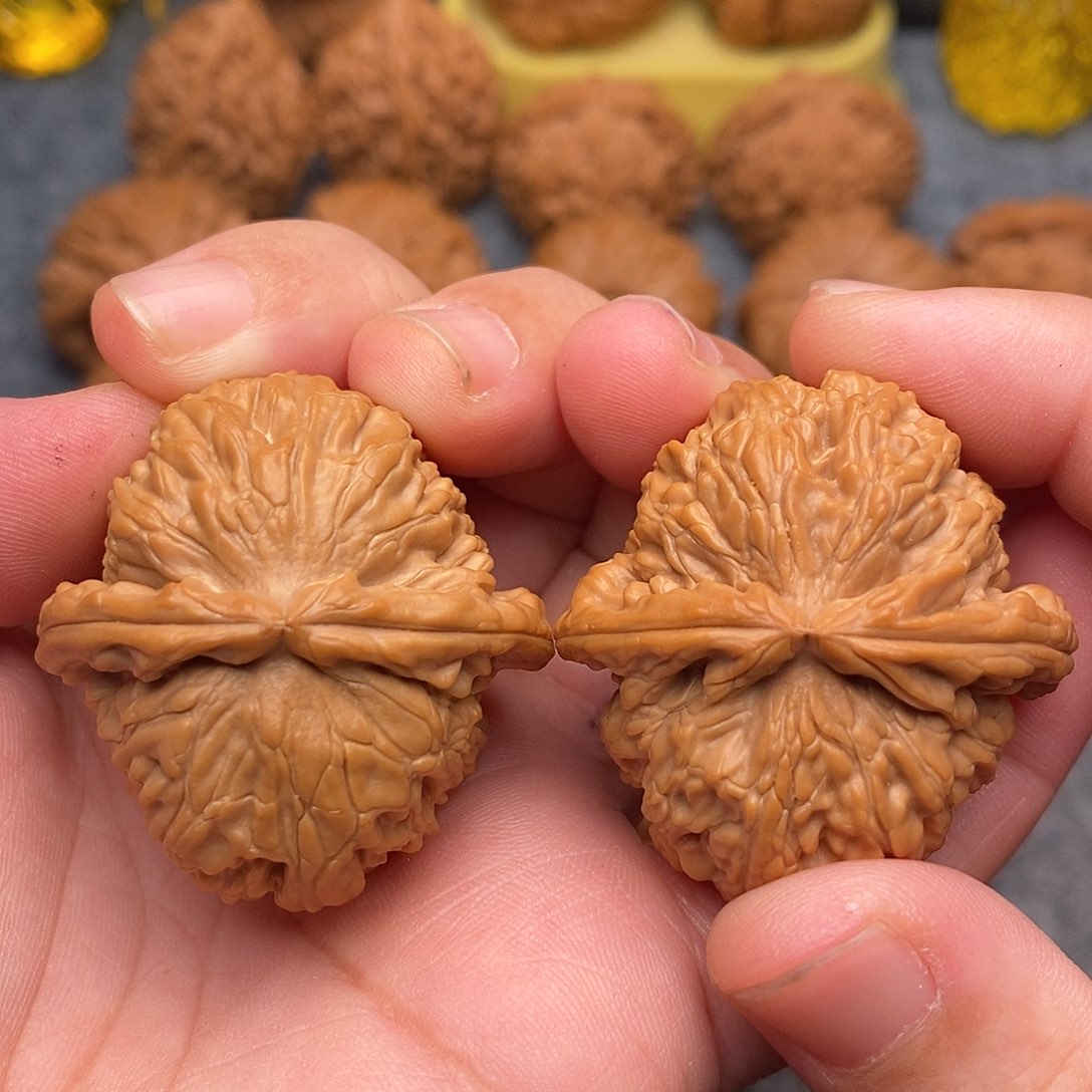 文玩核桃把件38全品绝配白狮子