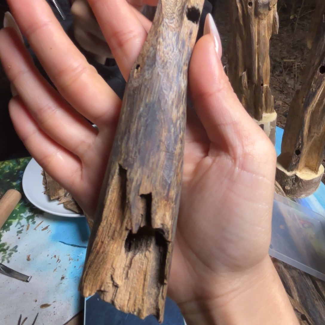 天然虫漏熏香品香