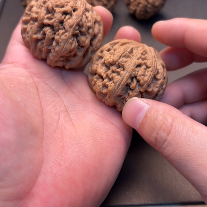 嘿***༽大叶紫檀（黑酸枝木类）粗筋