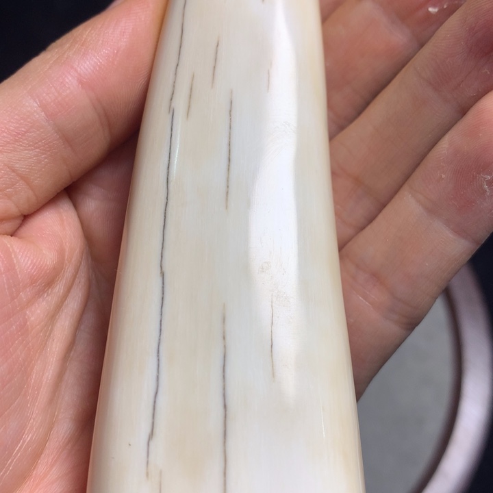 橄榄核手串/手链擦擦擦擦擦擦cc34