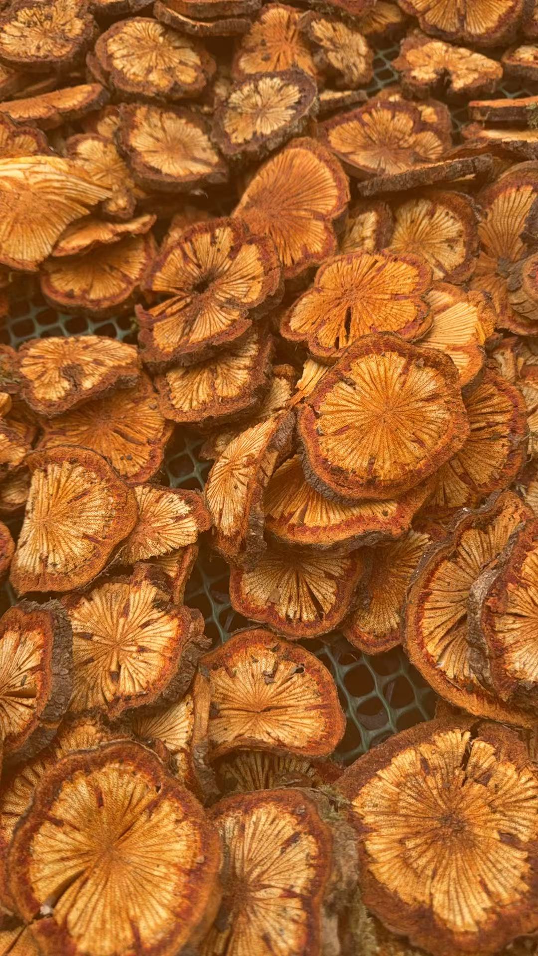 血塞通 大片干片5至8公分