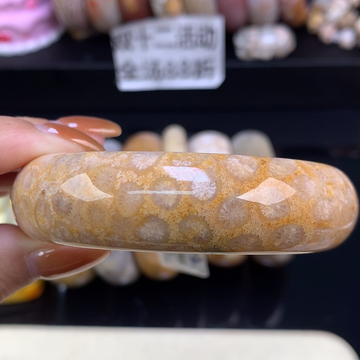 【闪购商品】颈饰未镶嵌硅化珊瑚（珊瑚玉）福利手镯60.3（7号）