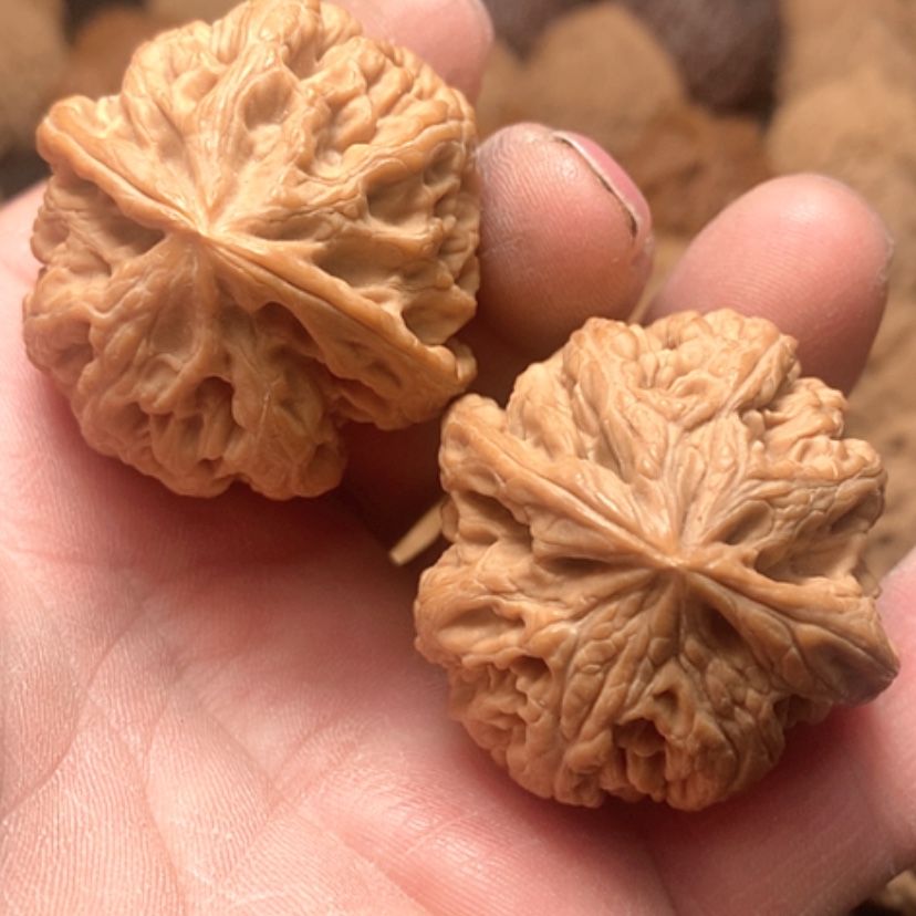 【闪购商品】C***界大粗筋