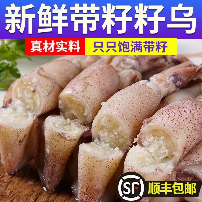 A满籽海兔籽乌全籽带籽半熟10只装/盒3包30只山东发货