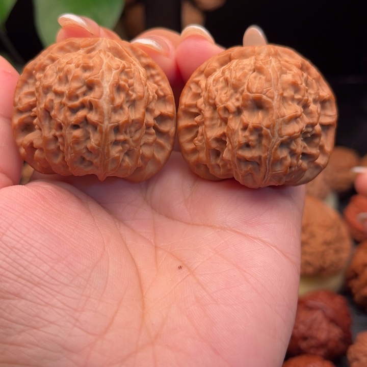 文玩核桃把件白狮子全品