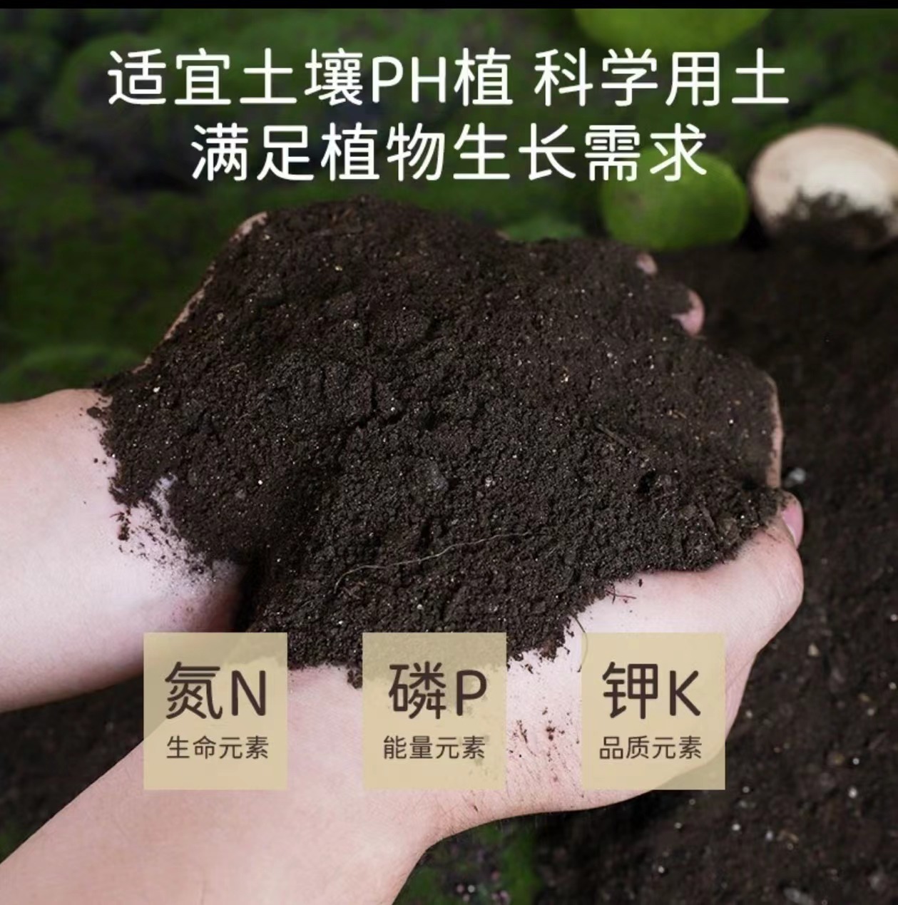家用营养土花种菜盆栽果树通用型