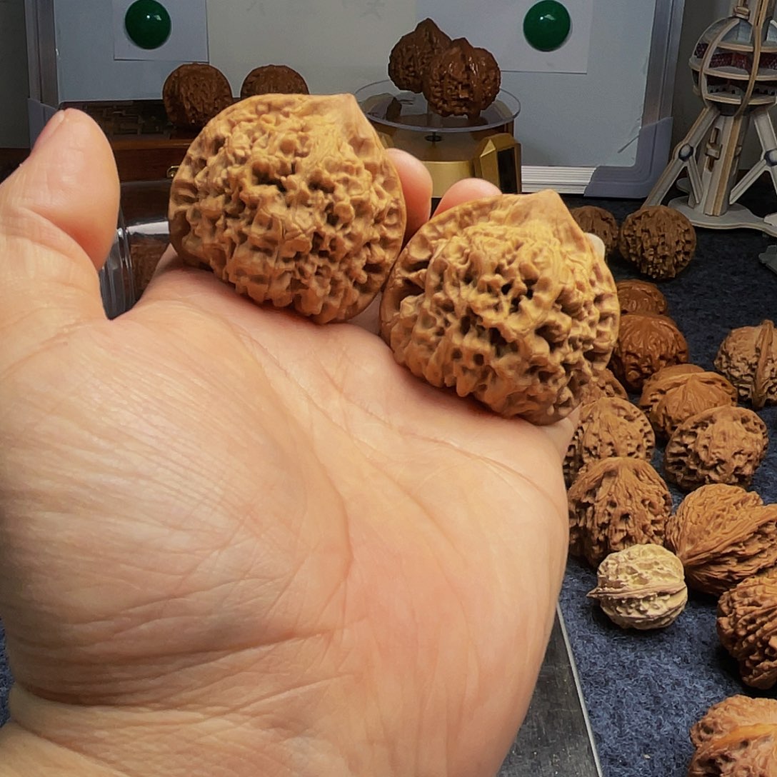 猴头核桃把件容*?麒麟纹官帽46尺