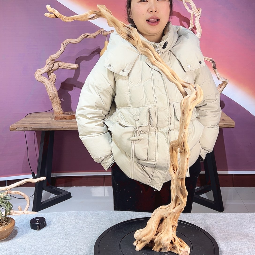 脱***轨木天然杜鹃根根艺摆件