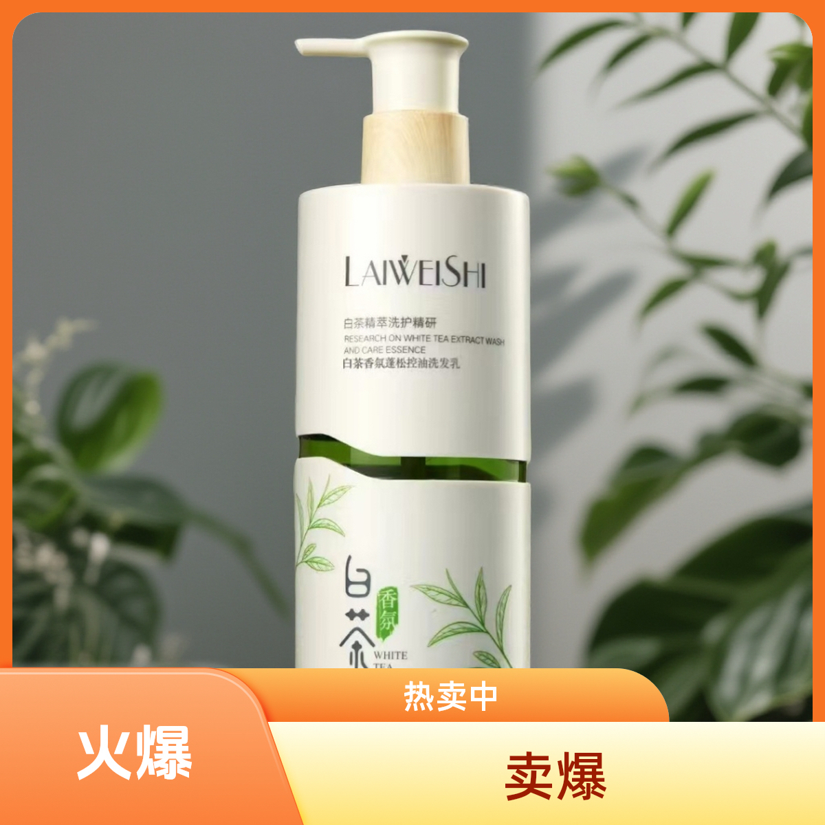 白茶精粹香氛蓬松控油柔顺去屑洗发乳