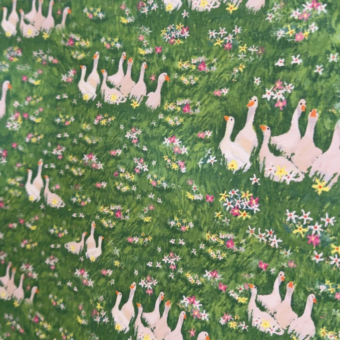 棉纯棉平布1米价X1.1米宽51区