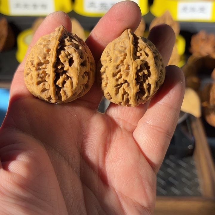 桃核把件粗筋蚂蚁（福利）