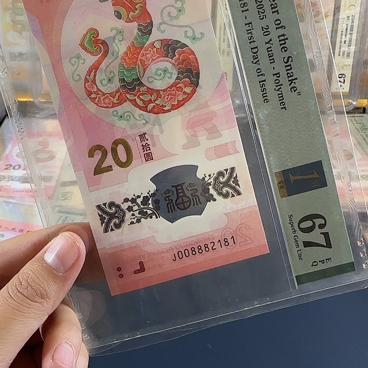 塑料蛇钞008882181pmg67