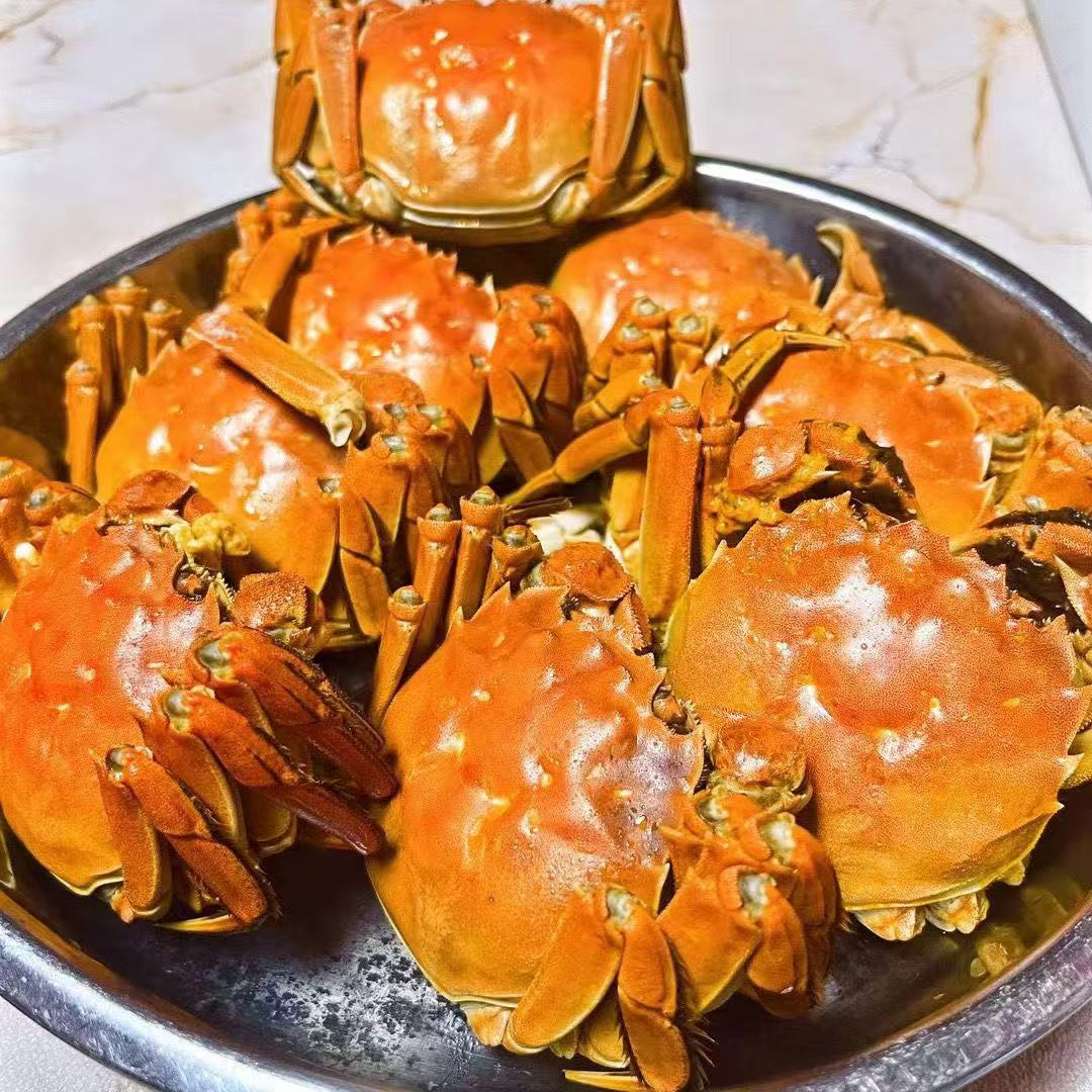 活蟹 太湖大闸蟹 母蟹 1.3两-1.5两 10只