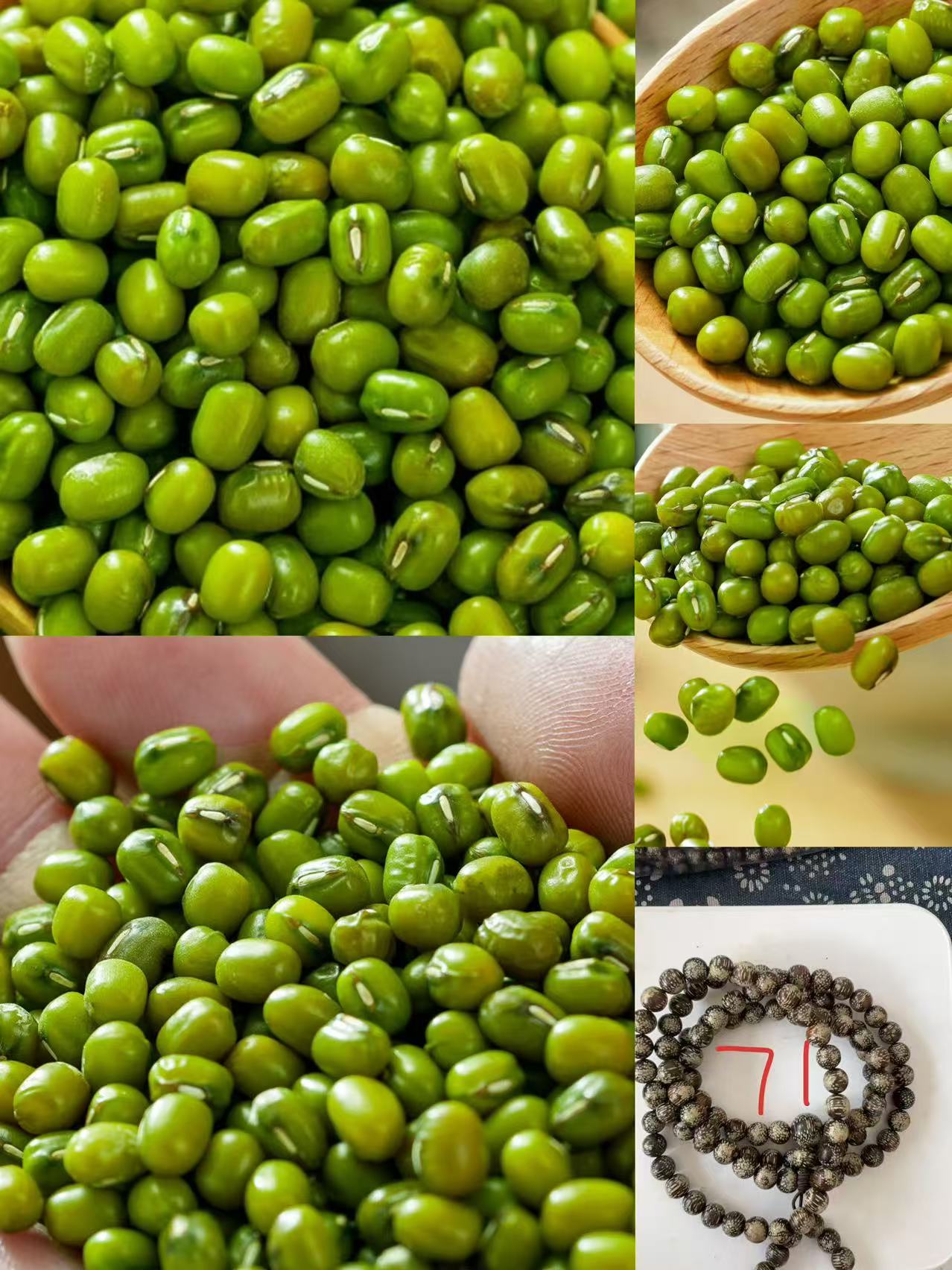 《71》来总专属土特产豆0.8cmx108-世0809-42g