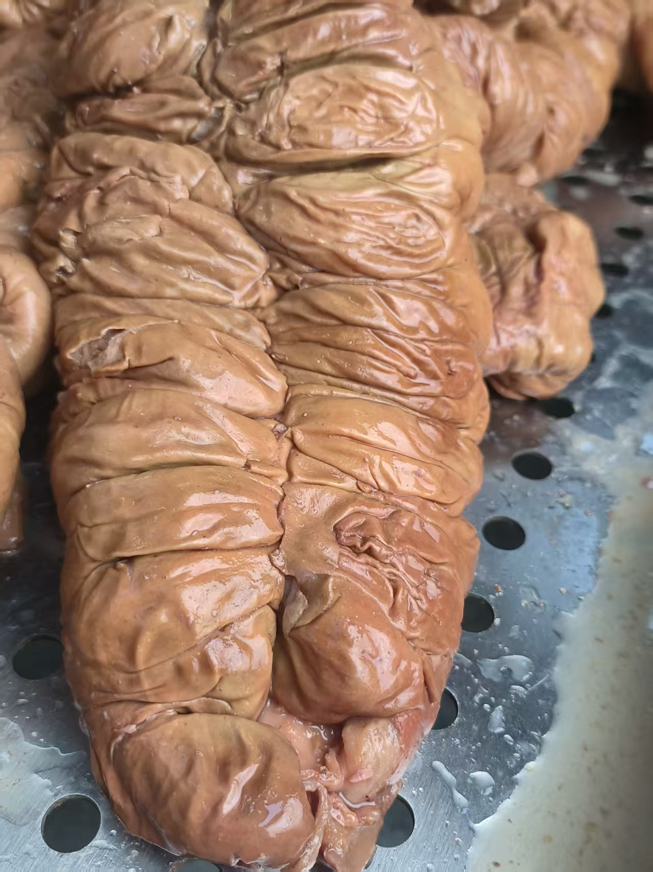 马板肠 新鲜马板肠