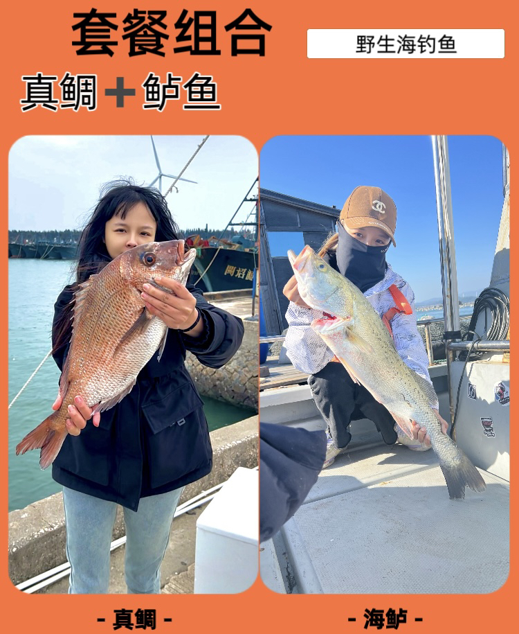 4.6斤鱼鳞优选新鲜海钓野生真鲷鱼鲈鱼套餐