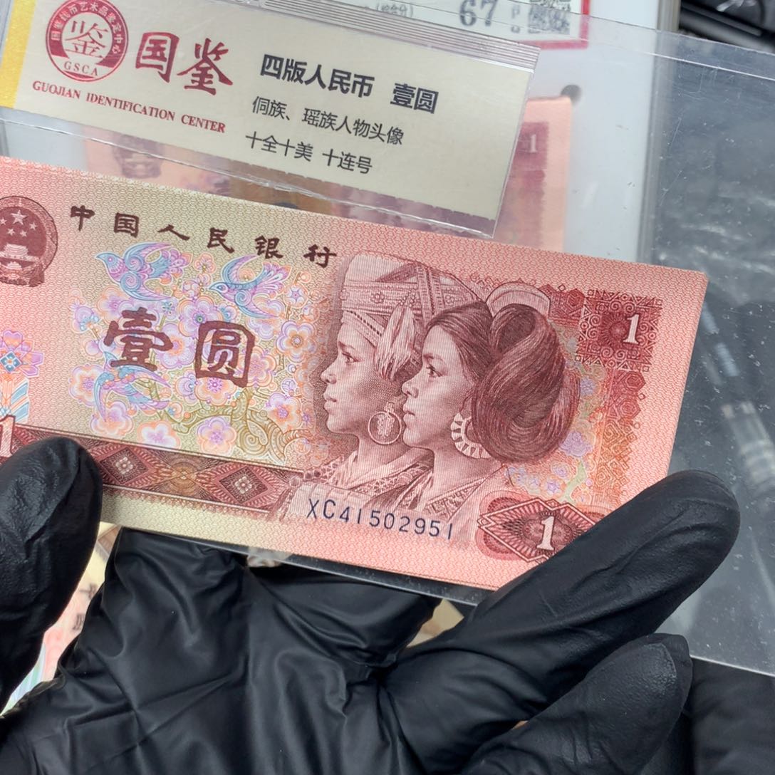 901金枝玉叶标十一标段