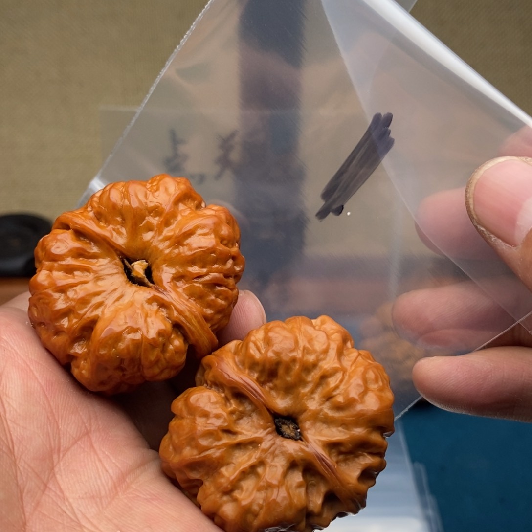 735732357735357573735