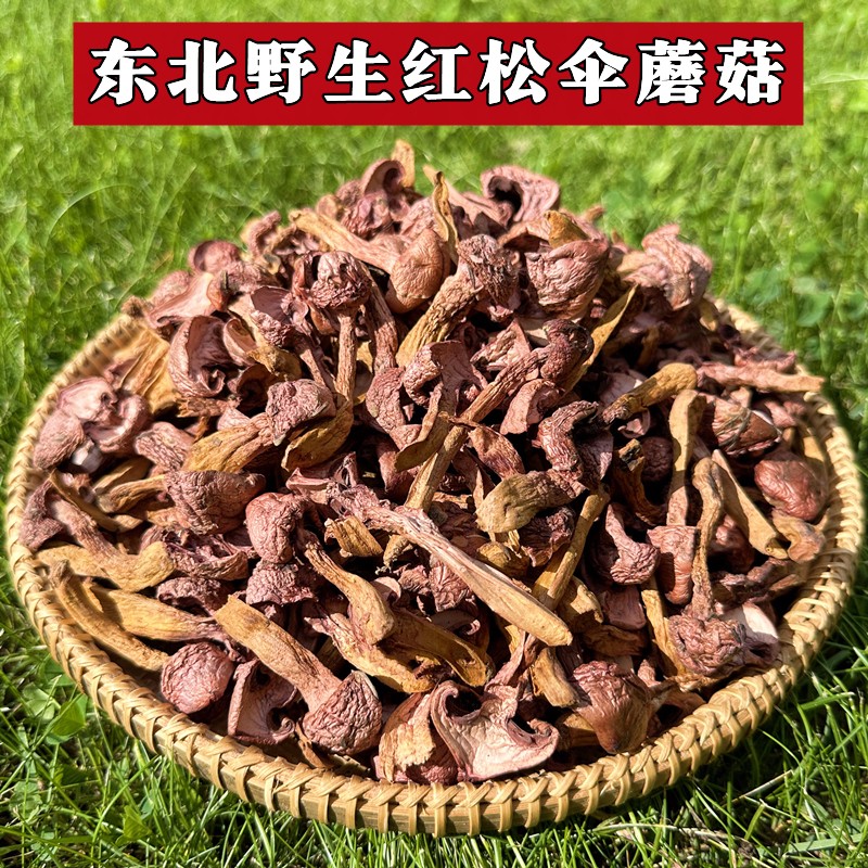 【铁岭野生红蘑】东北红蘑蘑菇肉蘑松树伞小鸡炖蘑菇晾干干货野生特产