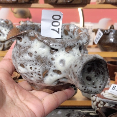 永**强木有一点点的小姐姐