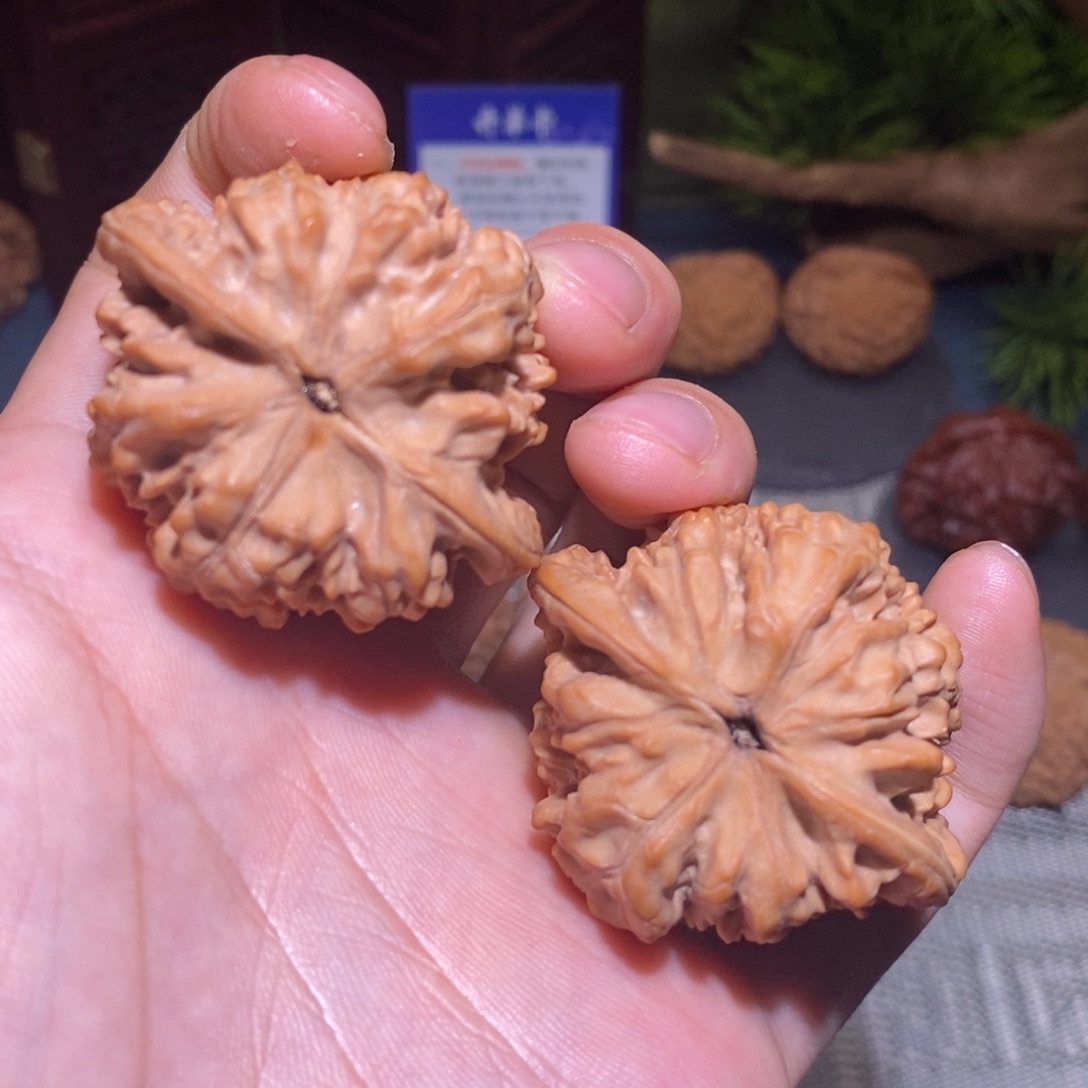 46尺 微修白茬 25头茬 官帽