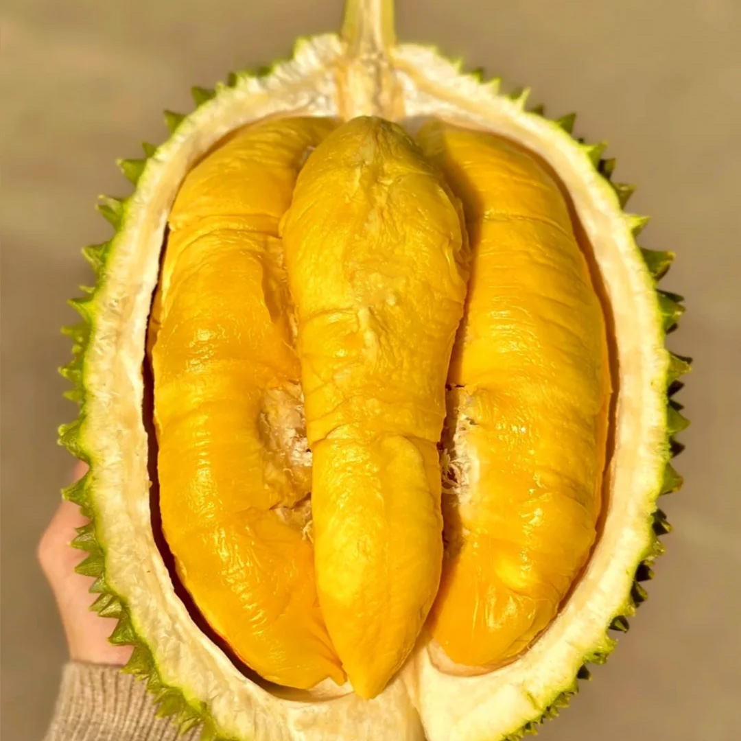 【泰国鲜果猫山王】当季鲜果核小3斤猫山王正品新鲜榴莲只卖当季水果带壳绵密丝滑浓香甜猫山王泰国