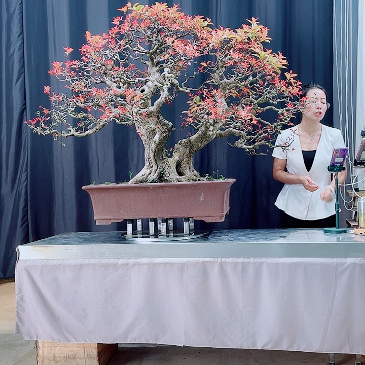 殿***云无花朵岭南文化文化艺术中心的