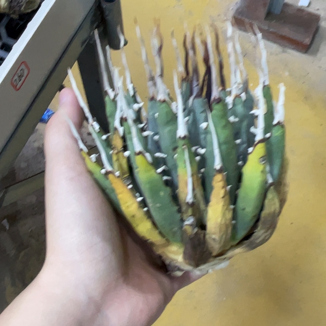 奉***财林立林立林立旅途在郑州郑州