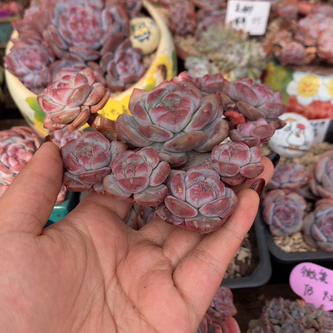 哈哈哈哈哈哈哈哈哈哈26