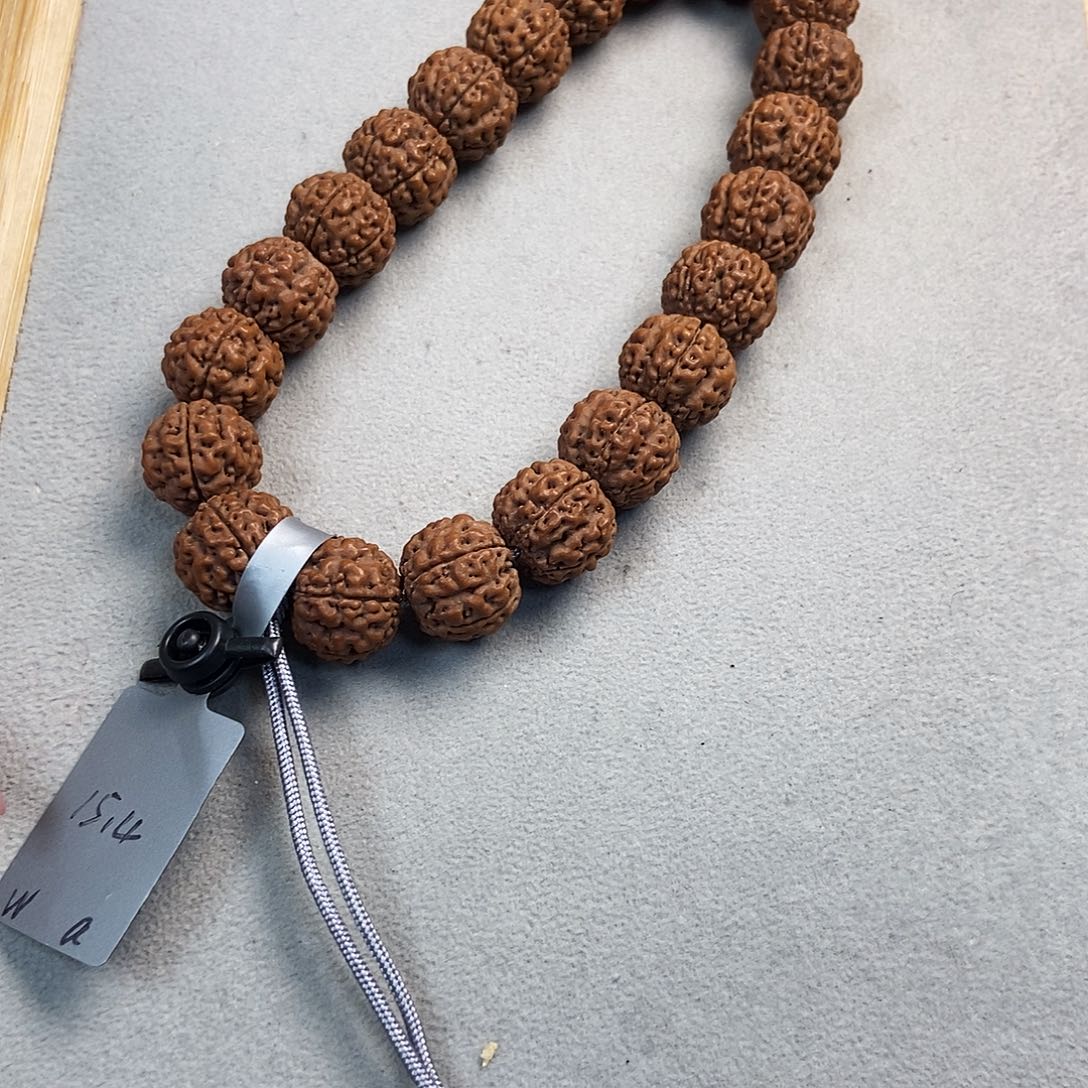 菩提籽类八龙臻选15.4