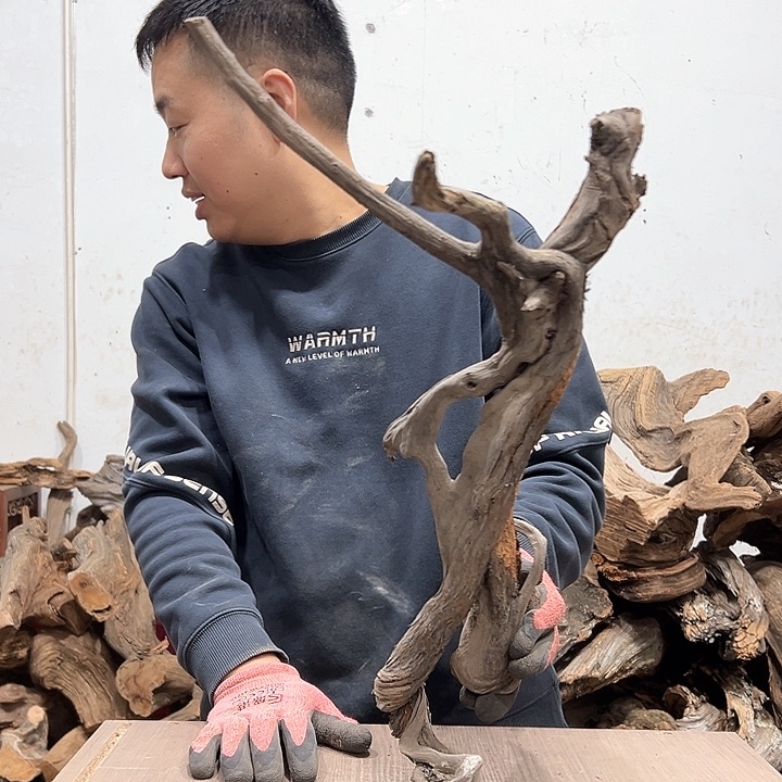 柏木高****车我们都是好孩子呀我也