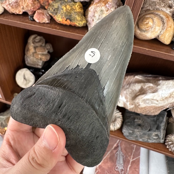 12.38巨巨巨呀精美摆件创意礼物家居配饰新年礼物个人收藏