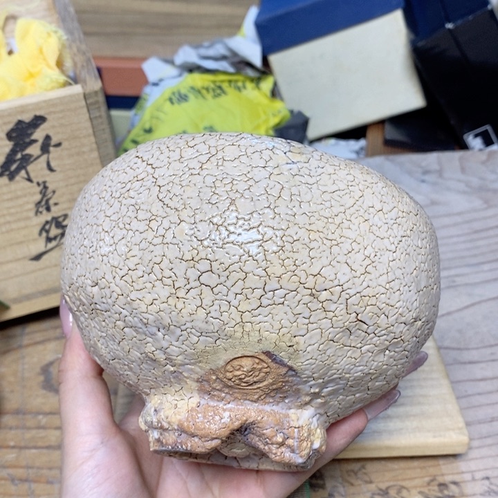 哈哈哈哈姐姐哈哈哈哈哈哈哈家家