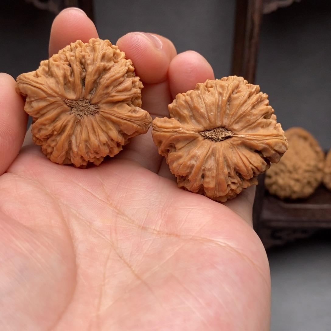 文玩核桃把件41有黄，南将石村一代老树福利对