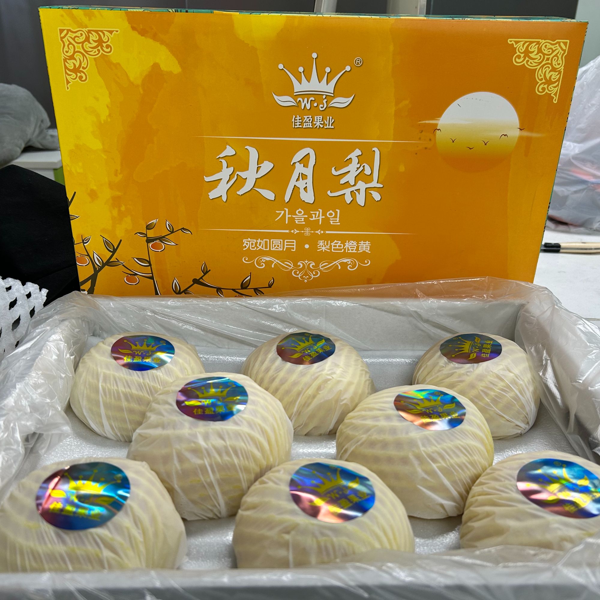 【即拍即送】山东秋月梨礼盒8个装当季送礼特大果