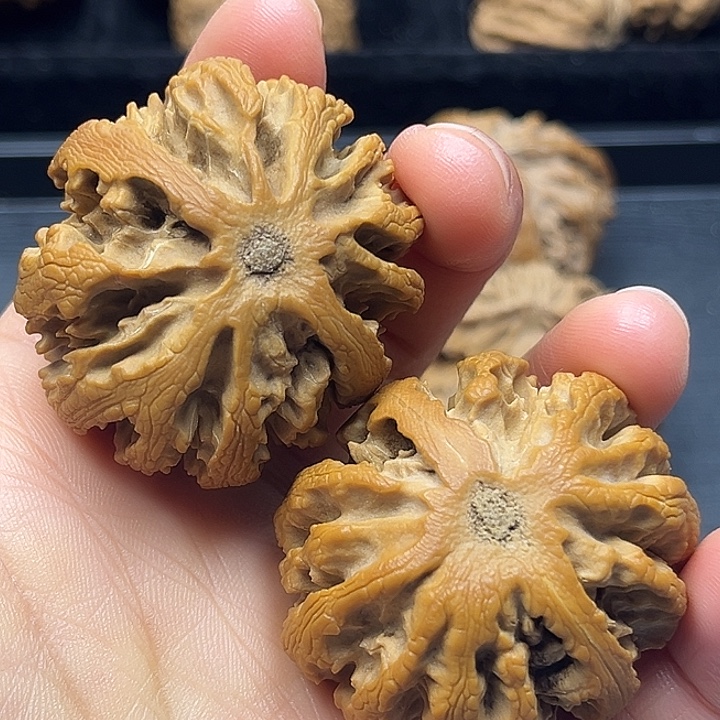 我****木质类秦岭突突突突突