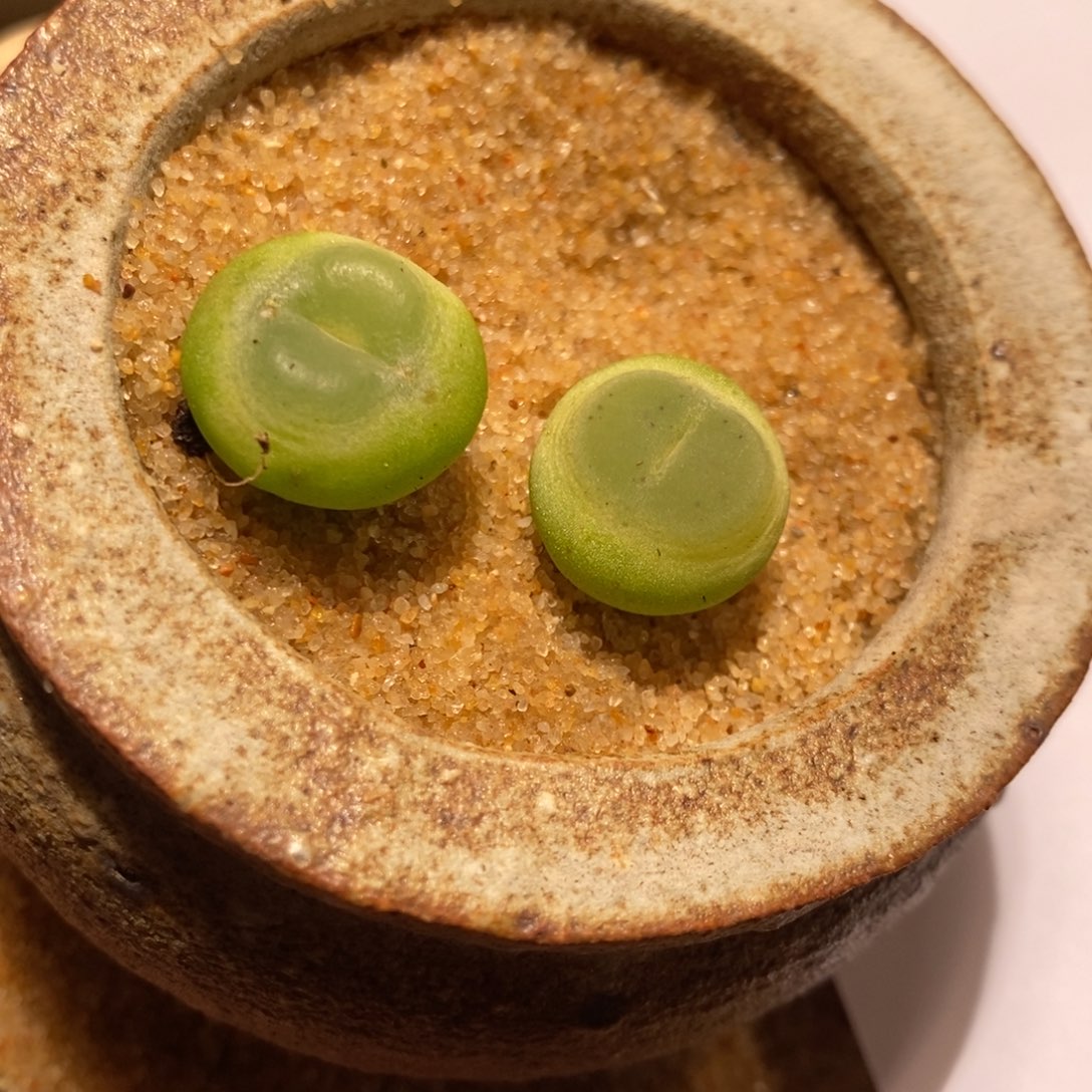 18338。  福利两颗好拉登紫皮。  