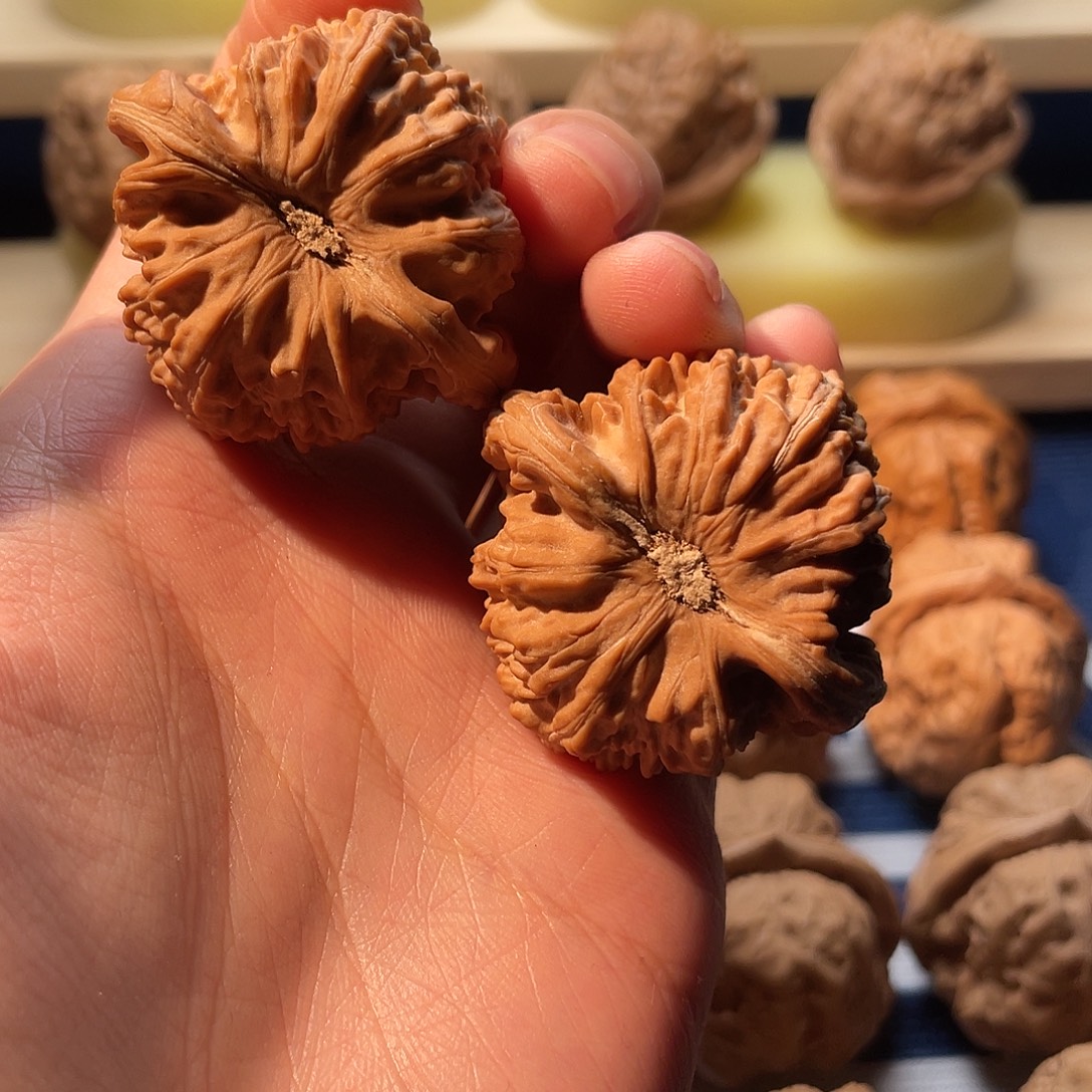 文玩核桃球白41尺