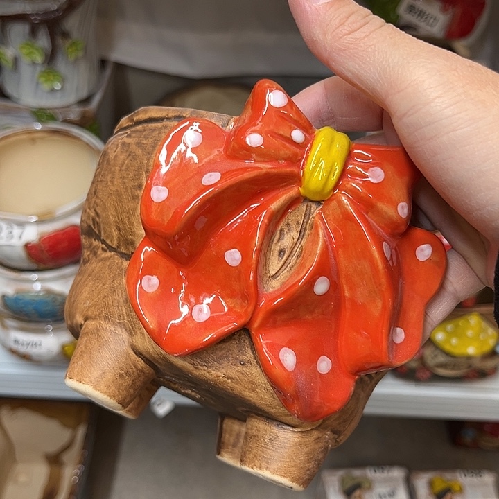 粗陶材质多肉花盆