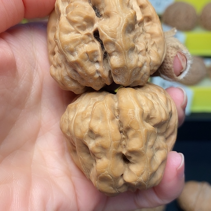 三***畫文玩核桃把件蛤蟆