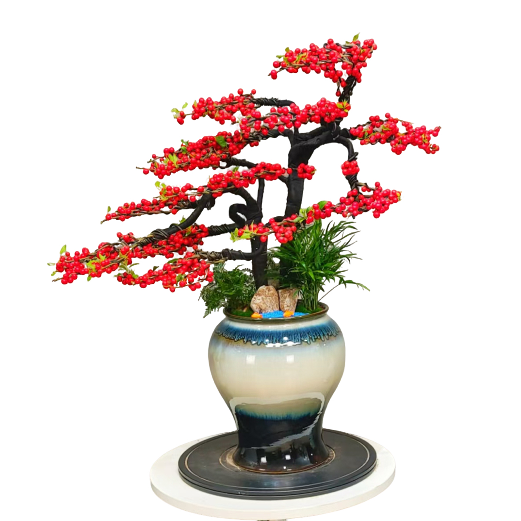 北美冬青盆栽年销花网红绿植客厅摆放公司摆放桌面款造型北美冬青