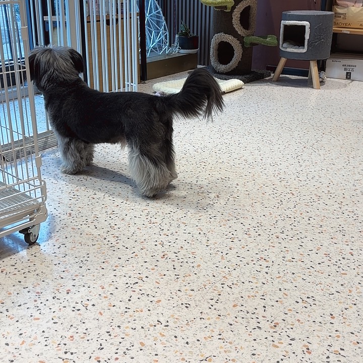 C***晓红狗120克化毛膏 两只