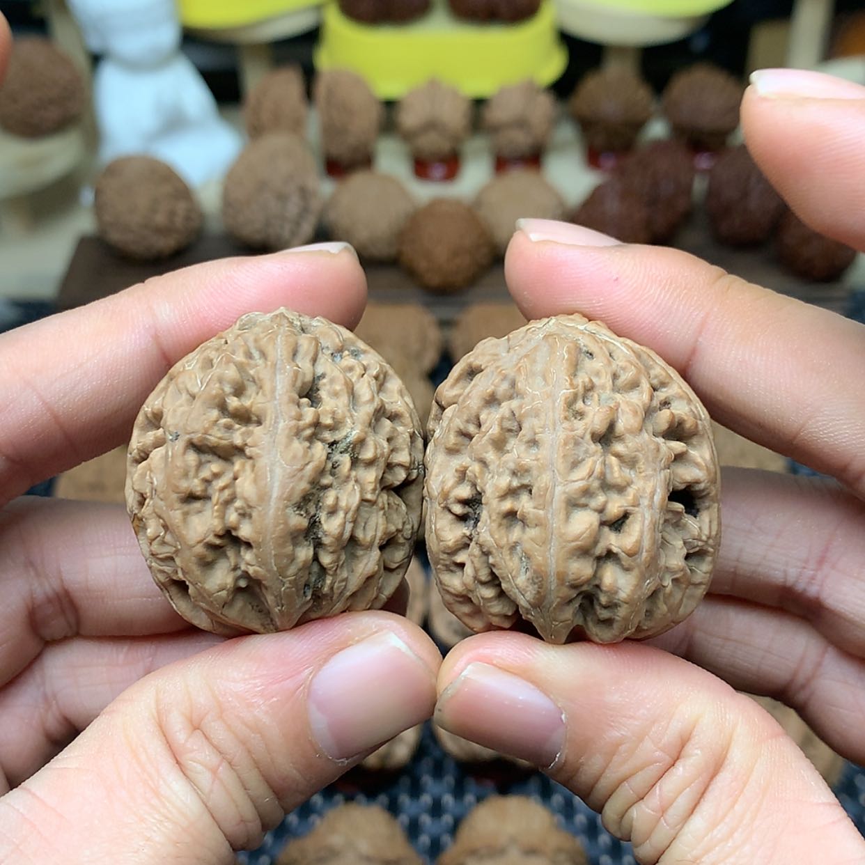 【闪购商品】文玩核桃把件全品吉林花千骨秋子38.5