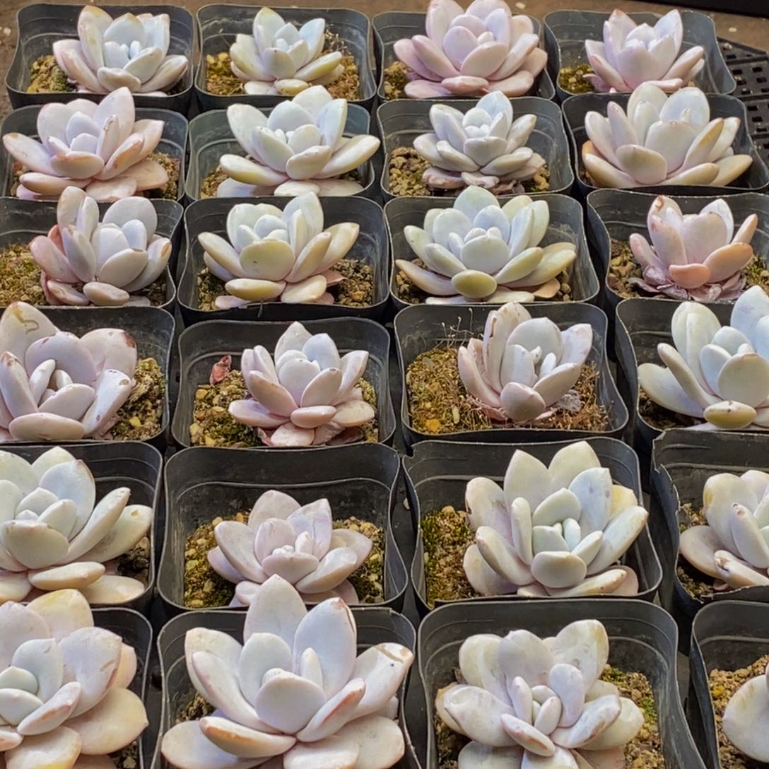 257的人在一起的时候就