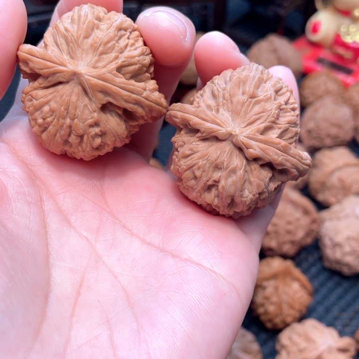 原装白狮子4.1全品无修。