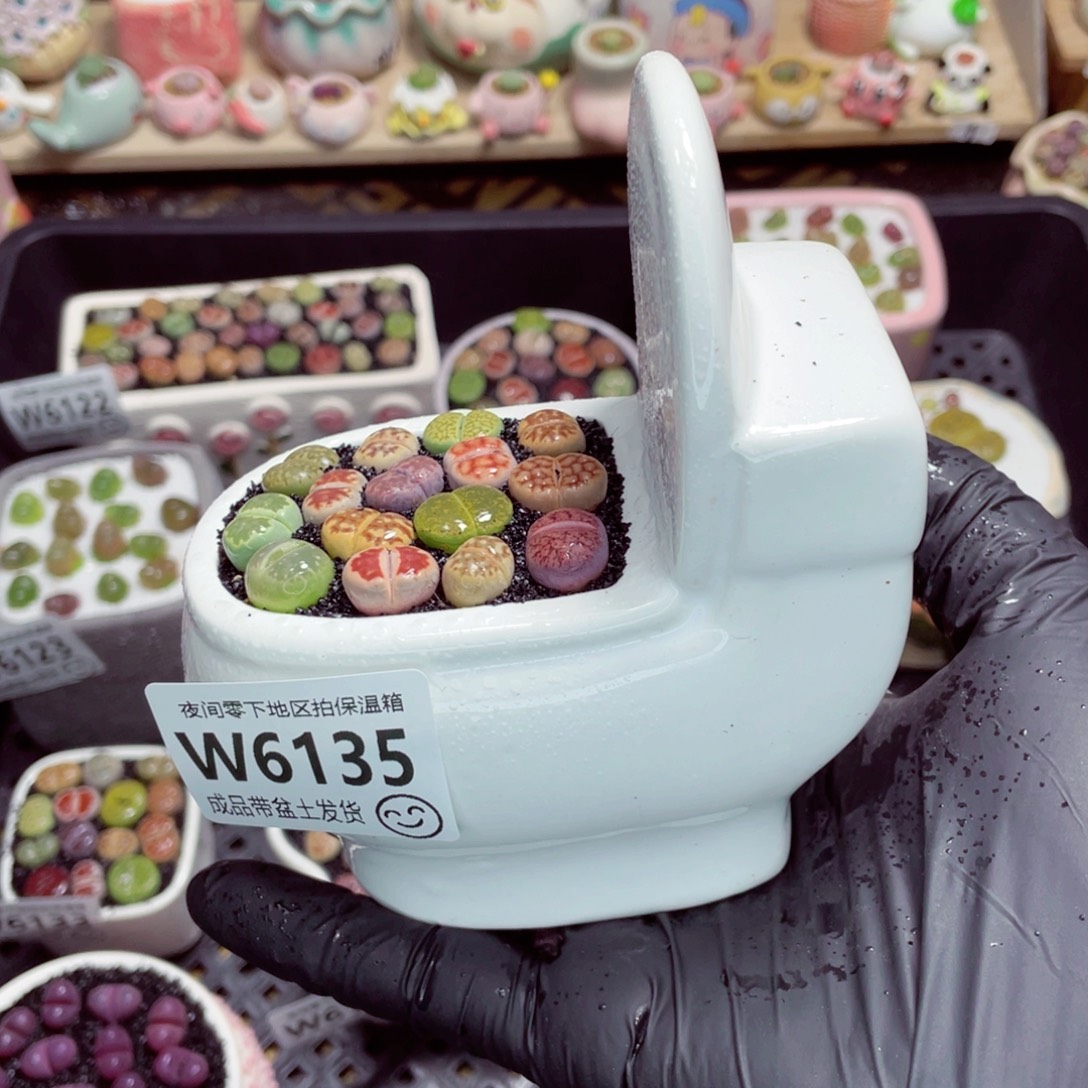 夜间零下地区拍保温箱w6135