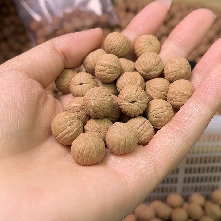 手串猴头核桃南瓜散珠100颗