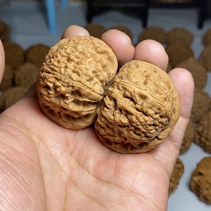 文玩核桃把件46尺，全品白狮子